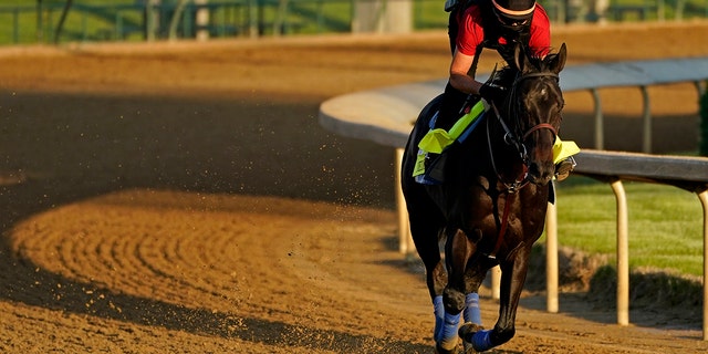 Kentucky Derby hopeful Medina Spirit works out at Churchill Downs on April 27, 2021, in Louisville, Kentucky.